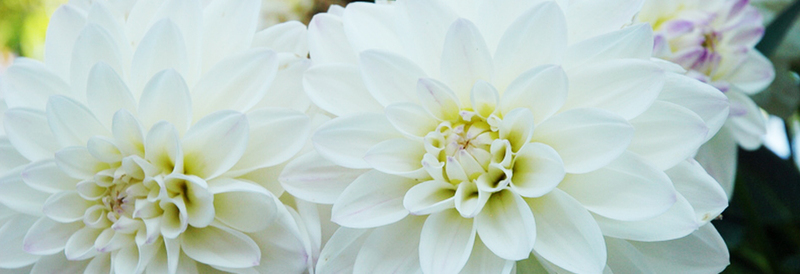 Apartamentos rurales villahormes asturias