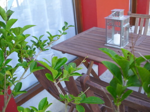 detalle de una terraza 