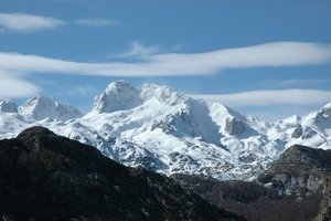 Picos de Europa