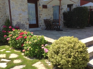 terraza del apart. Agapanto